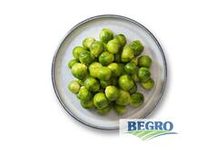 SPRUITJES 15-25mm  2.5kg  (4)